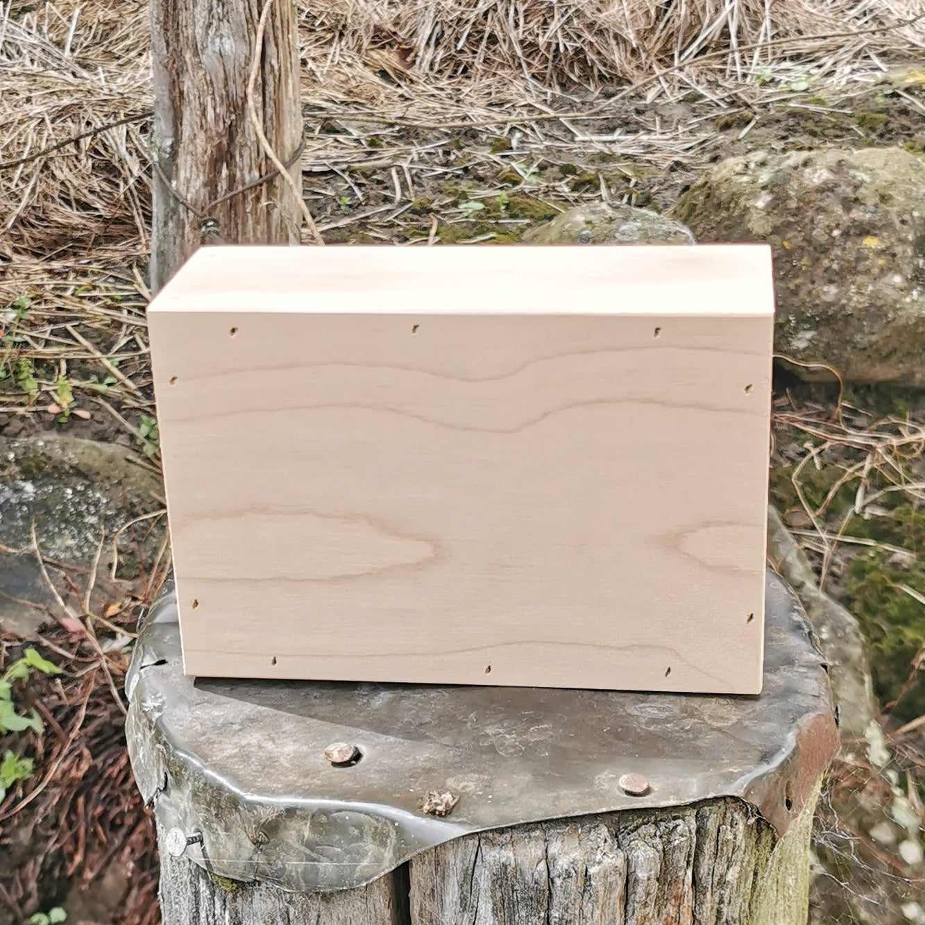 Wooden Money Box Personalised