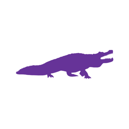 Aligator (Craft Blank)