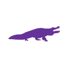 Load image into Gallery viewer, Aligator (Craft Blank)
