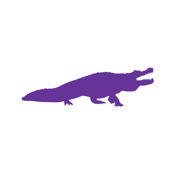 Aligator (Craft Blank)