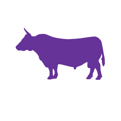 Cow (Craft Blank)