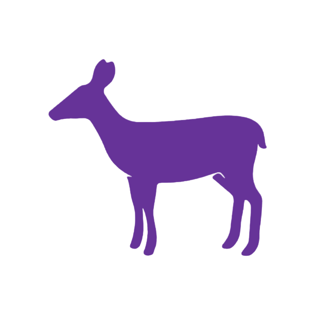 Deer 2 (Craft Blank)