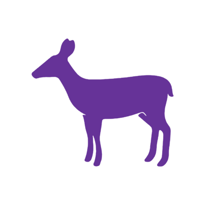 Deer 2 (Craft Blank)