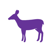 Load image into Gallery viewer, Deer 2 (Craft Blank)
