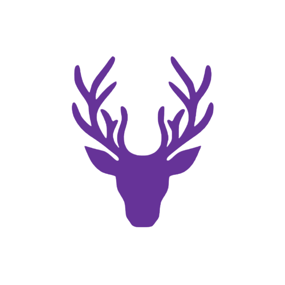 Deer Head (Craft Blank)