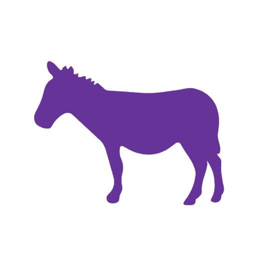 Donkey (Craft Blank)