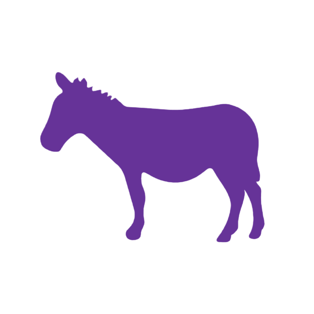 Donkey (Craft Blank)