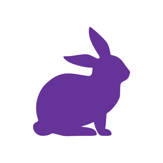 Easter Bunny (Craft Blank)