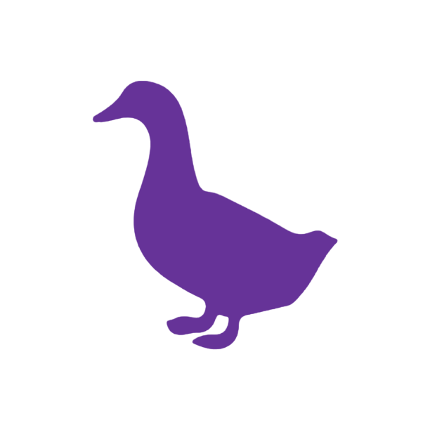 Duck 2 (Craft Blank)