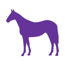 Load image into Gallery viewer, Horse (Craft Blank)
