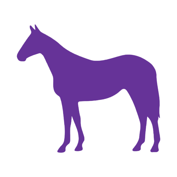 Horse (Craft Blank)