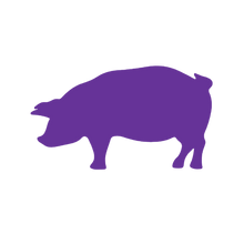 Load image into Gallery viewer, Pig (Craft Blank)
