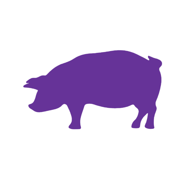 Pig (Craft Blank)