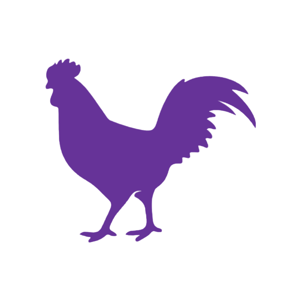 Rooster (Craft Blank)