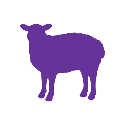 Sheep (Craft Blank)