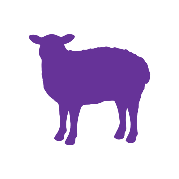 Sheep (Craft Blank)