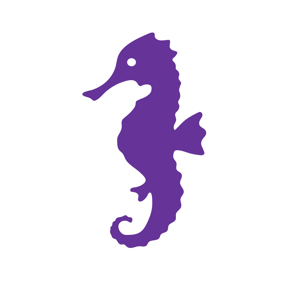 Seahorse (Craft Blank)