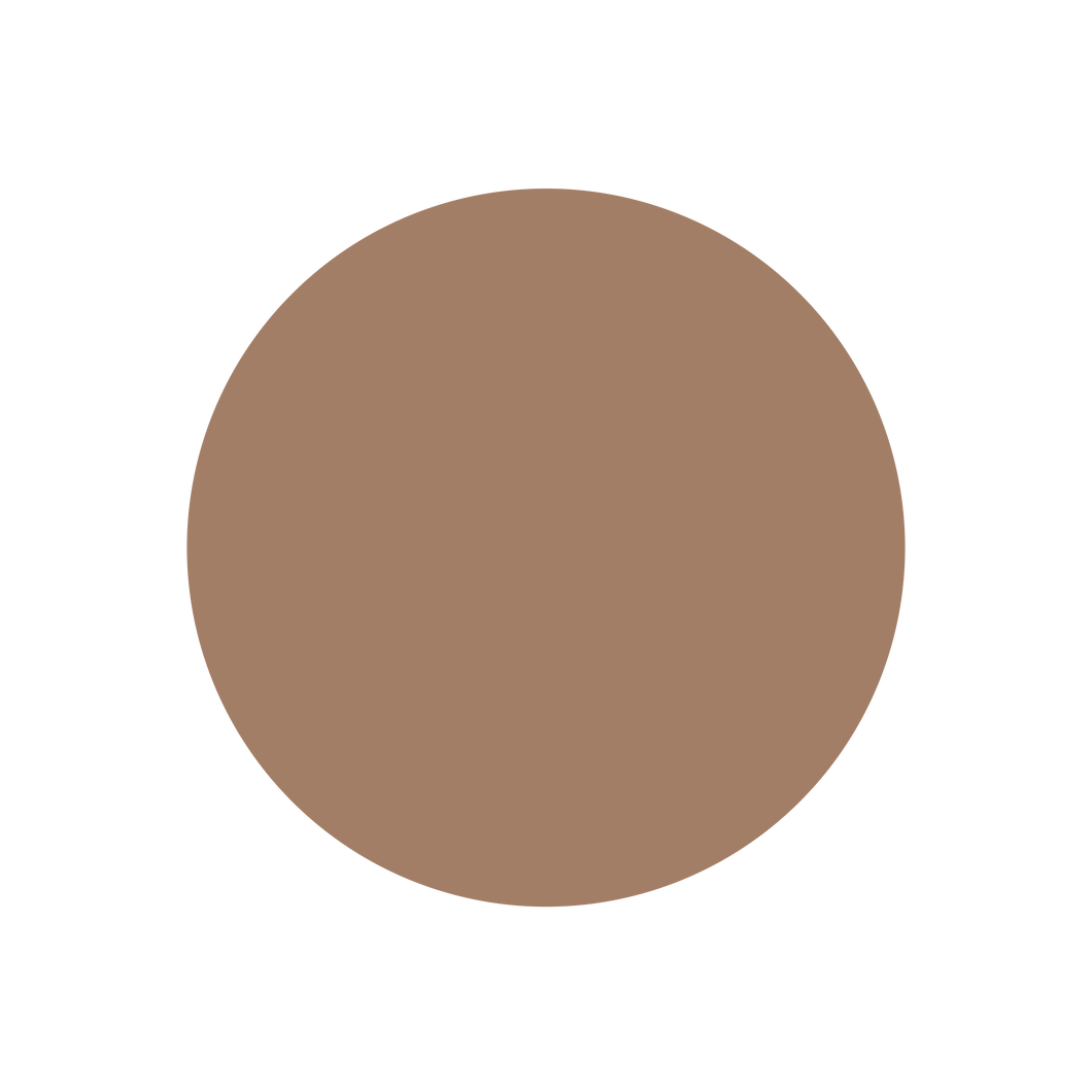 Circle (Craft Blank)