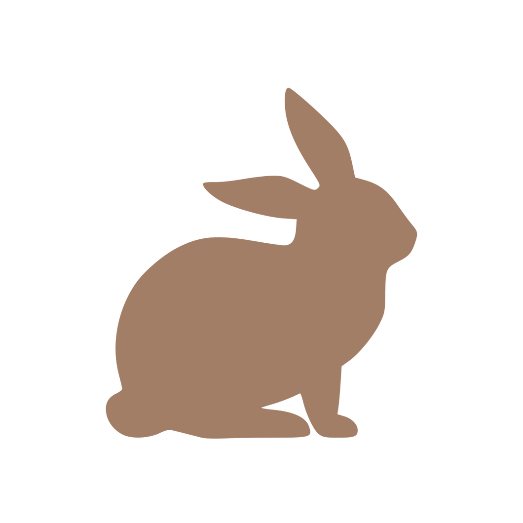 Easter Bunny (Craft Blank)