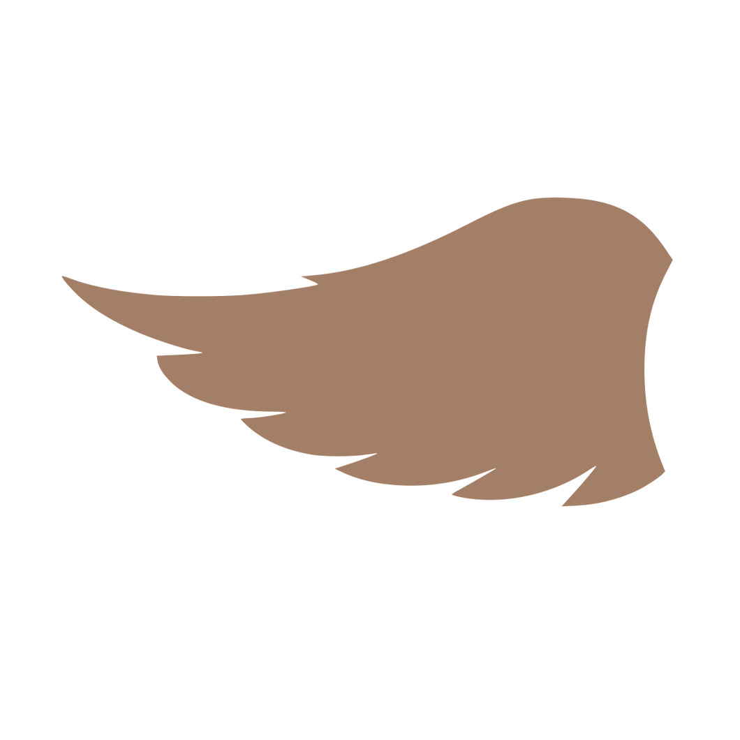 Wing (Craft Blank)